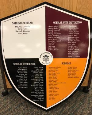 2017-2018 AP Award Shield 